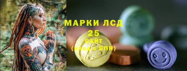 крисы Козловка