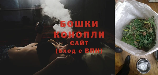 крисы Козловка