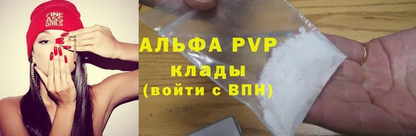 крисы Козловка