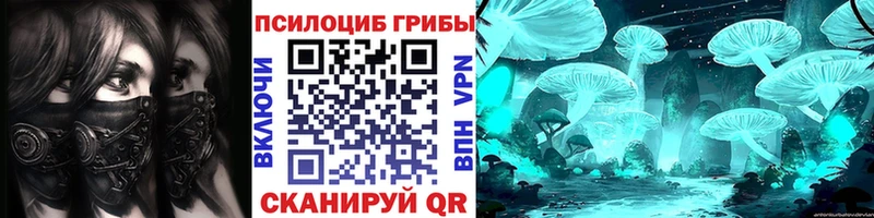Купить где Ветлуга Псилоцибиновые грибы Magic Shrooms